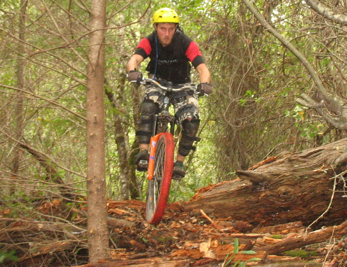 IMG_2939.JPG (1229939 bytes)