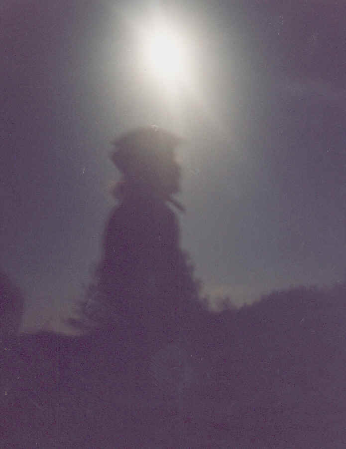 LAF - Moondude tree spirit.BMP (1879254 bytes)