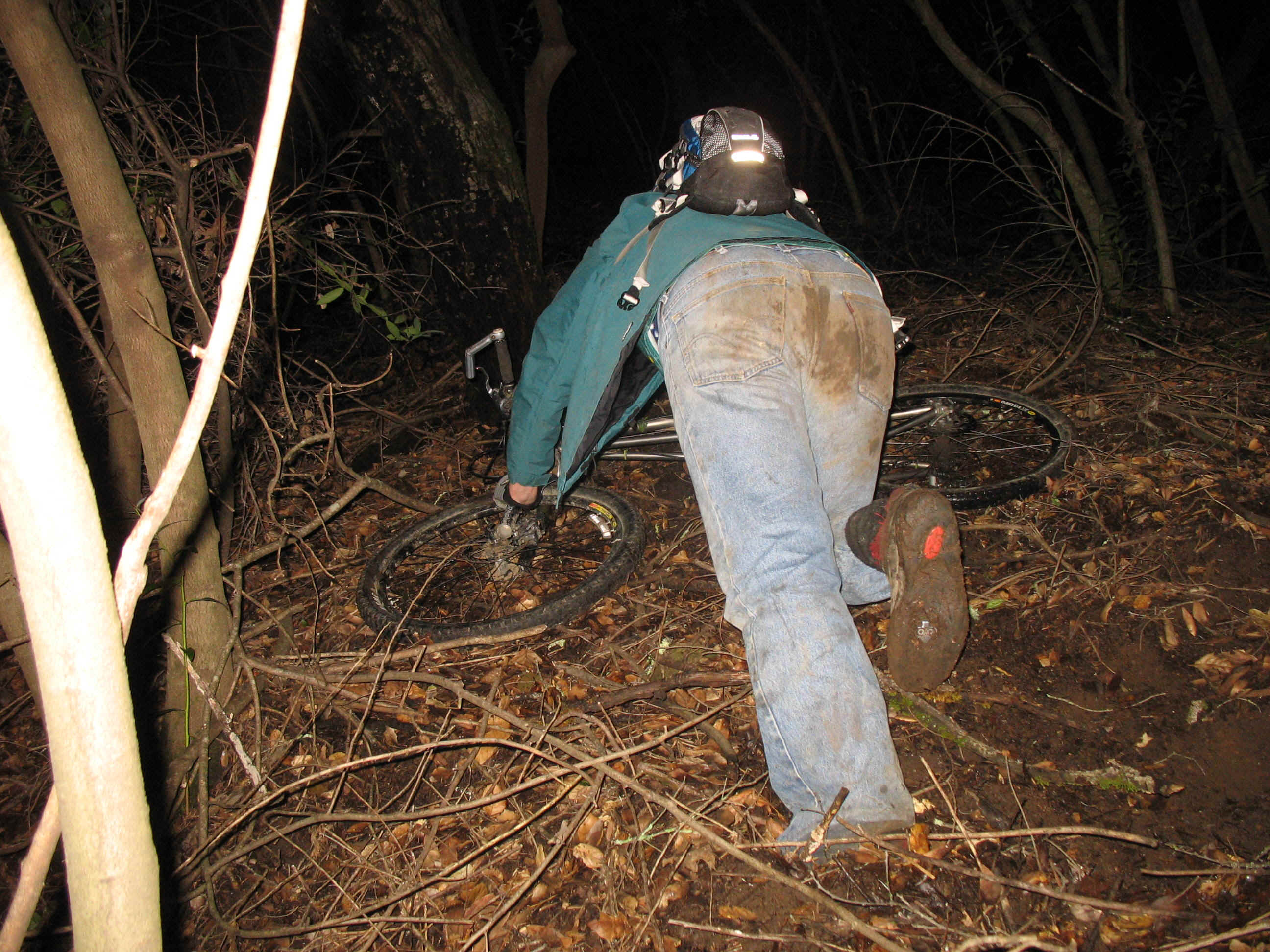 Linzuphill.JPG (916804 bytes)