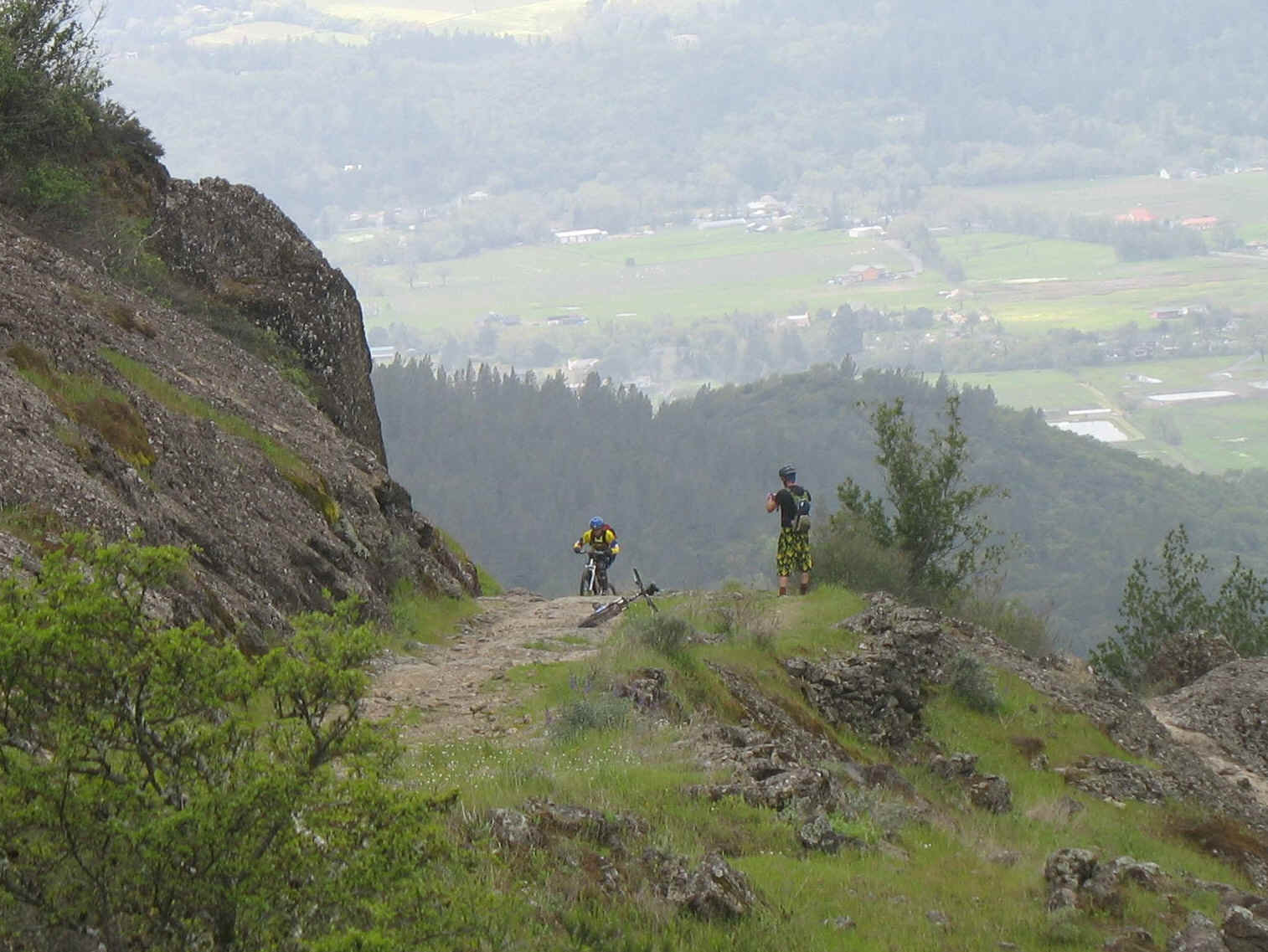 Longview.jpg (715405 bytes)