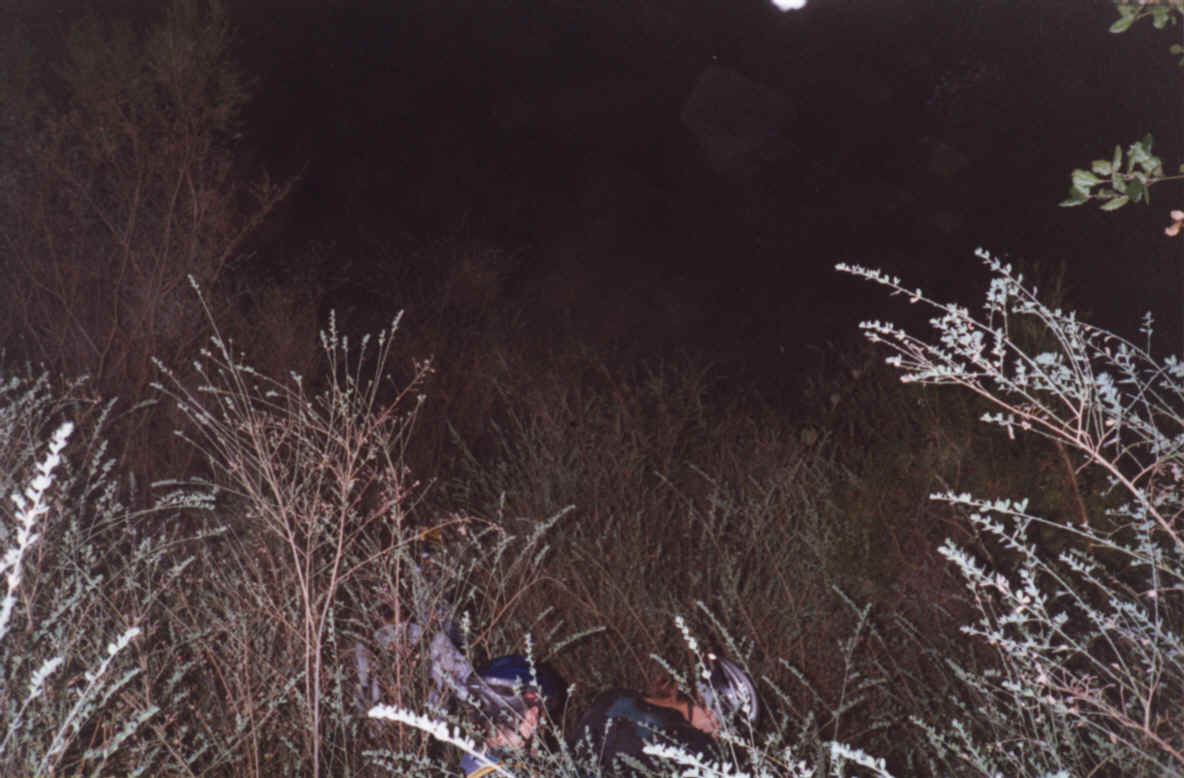 Lost - in the weeds.BMP (2763510 bytes)