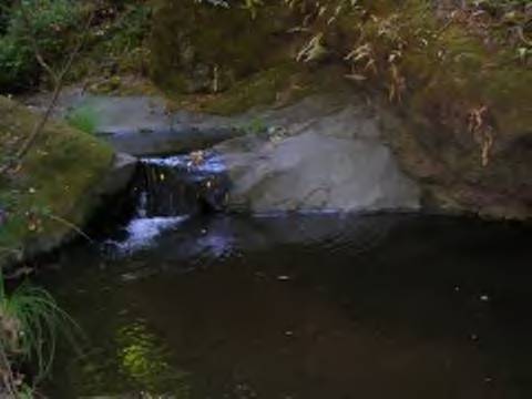 Lovely Water II.jpg (19667 bytes)