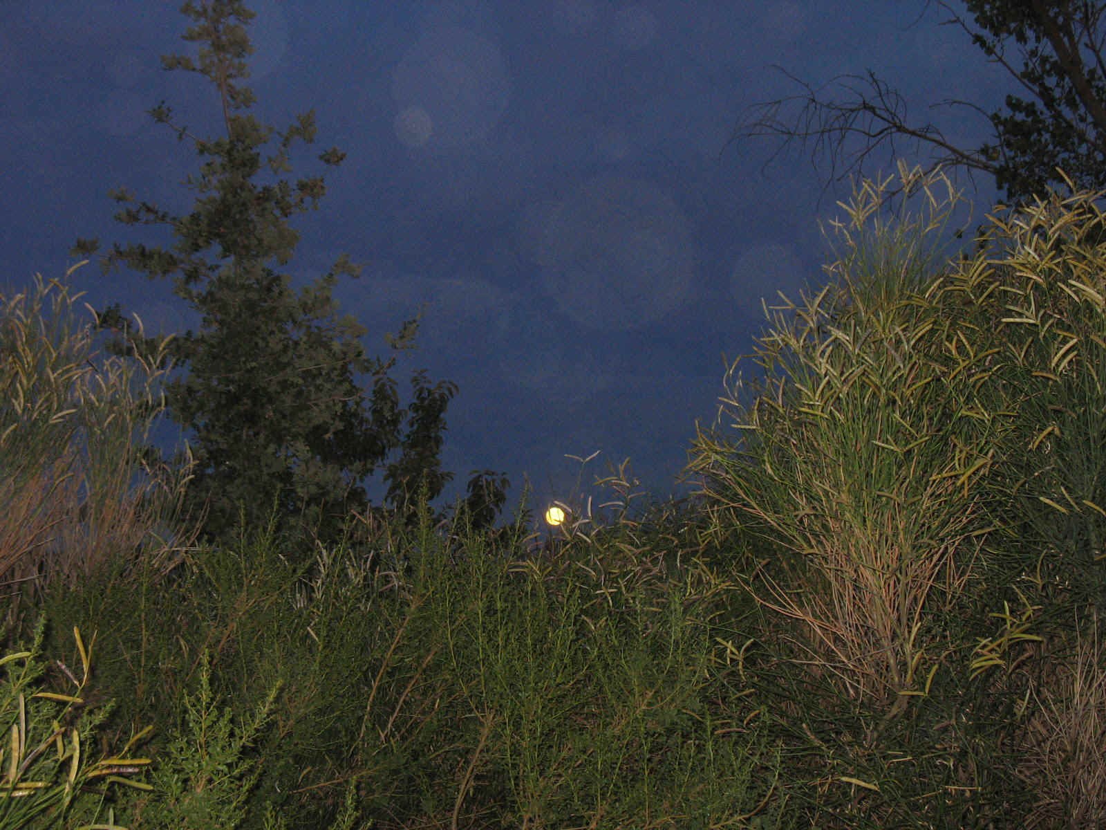 MMM-12.JPG (391253 bytes)