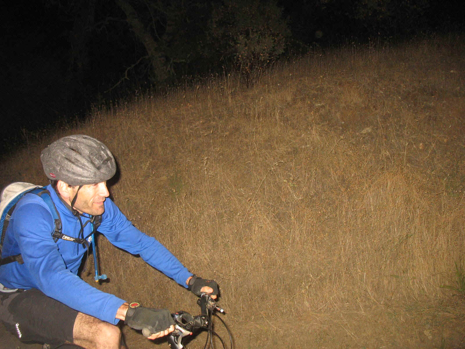 MMM-46.JPG (368295 bytes)