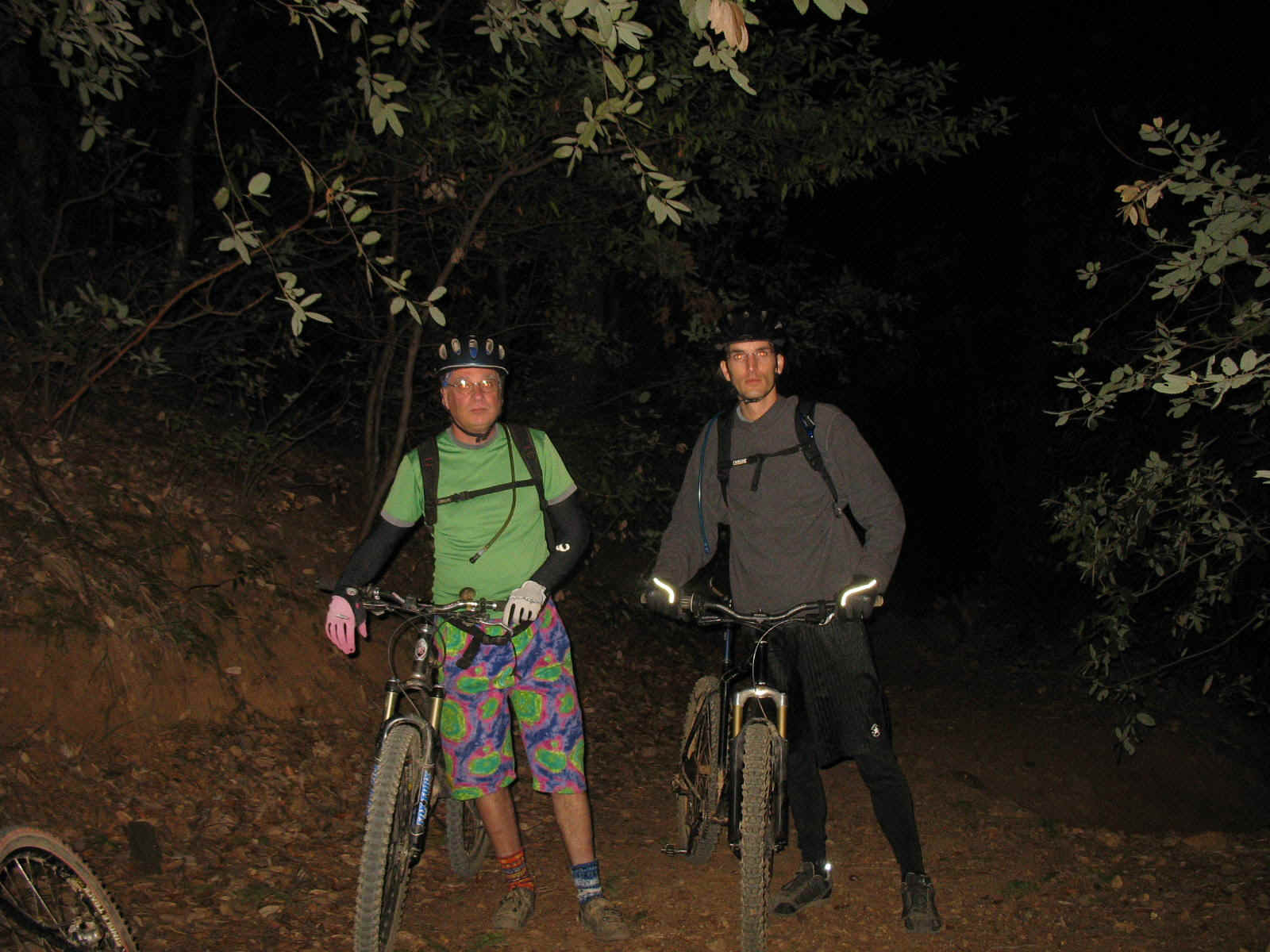 PI-21.JPG (293116 bytes)