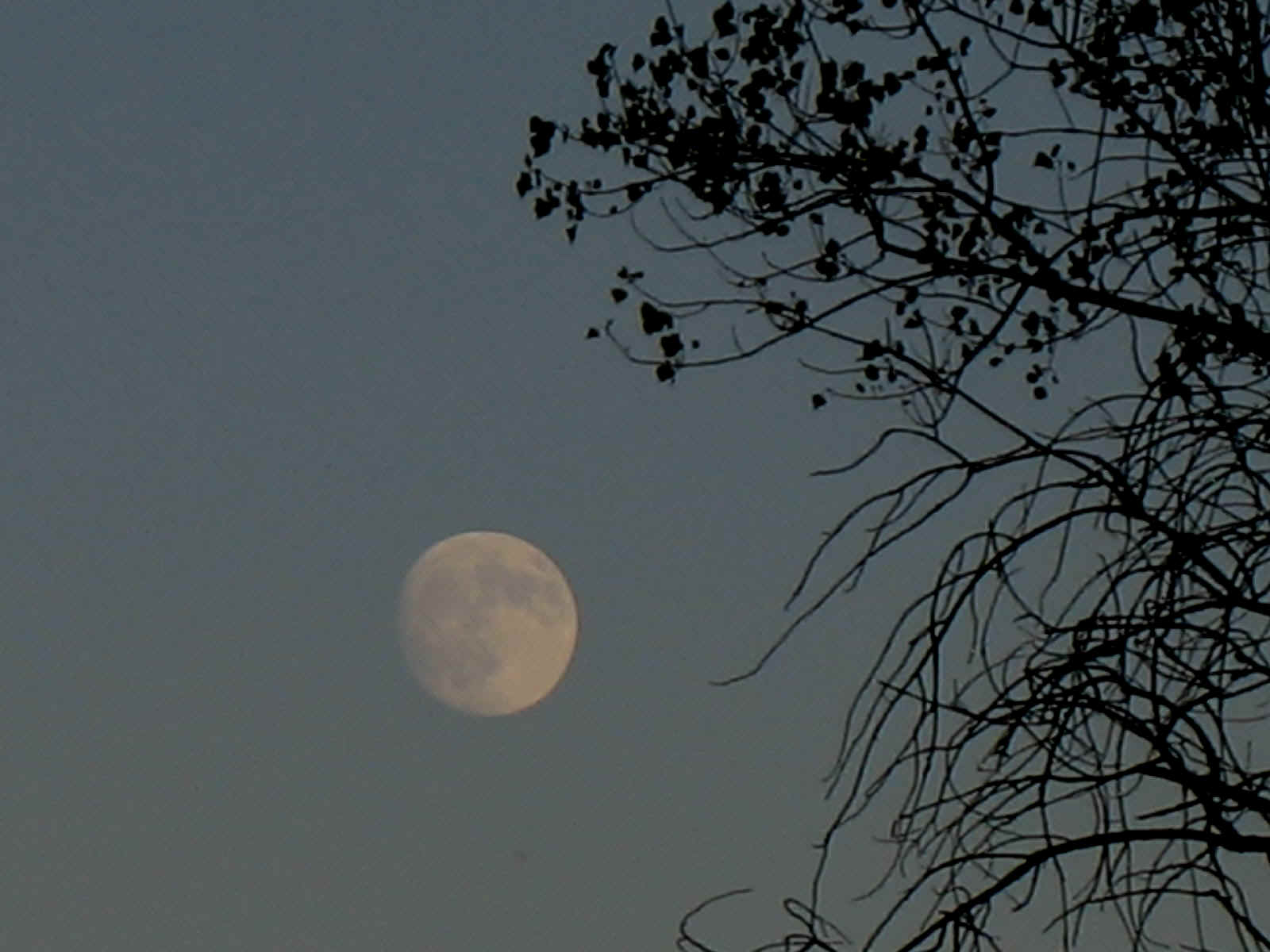 PI-3.JPG (166420 bytes)