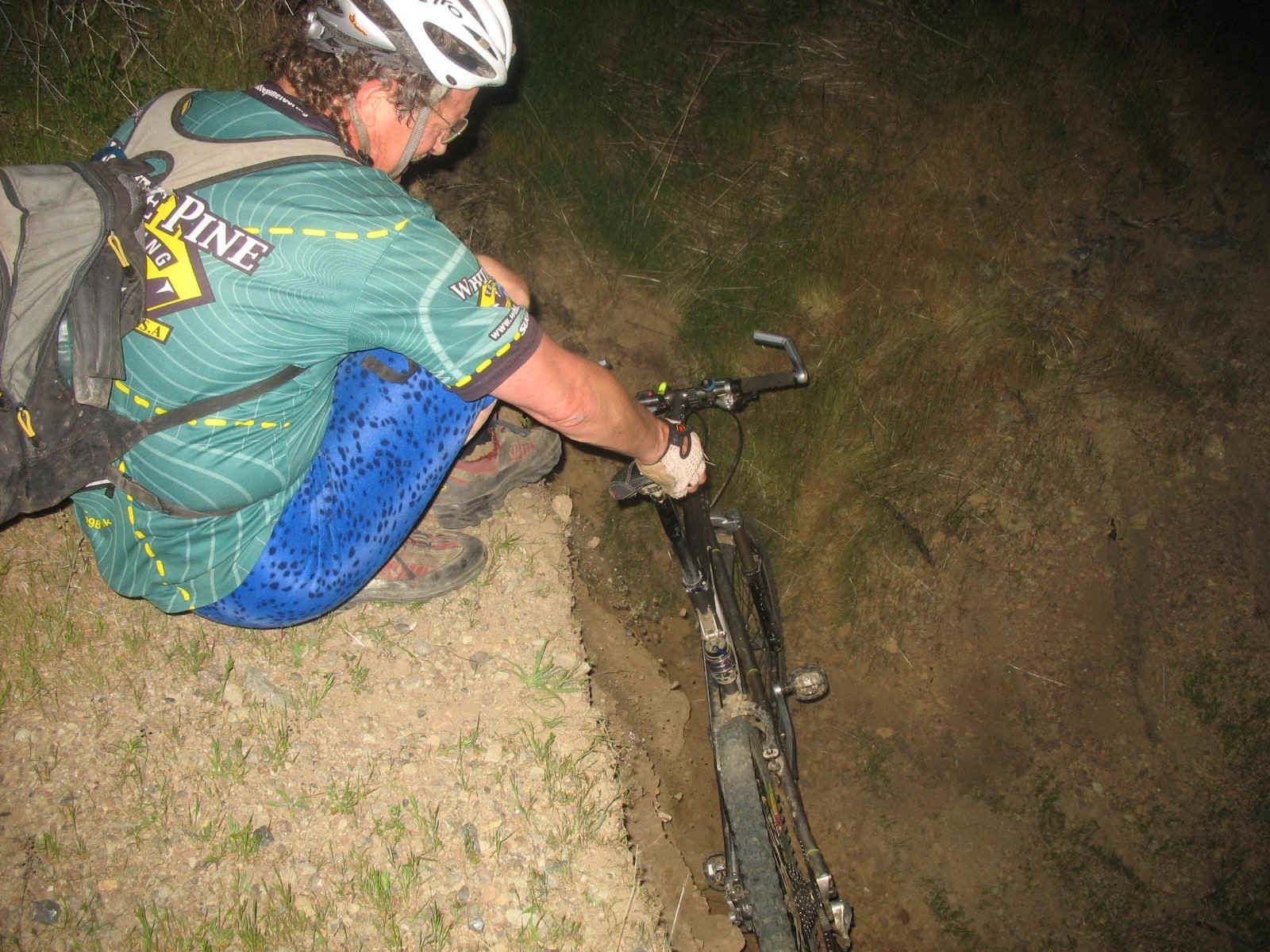 PP Linzslide.jpg (548203 bytes)