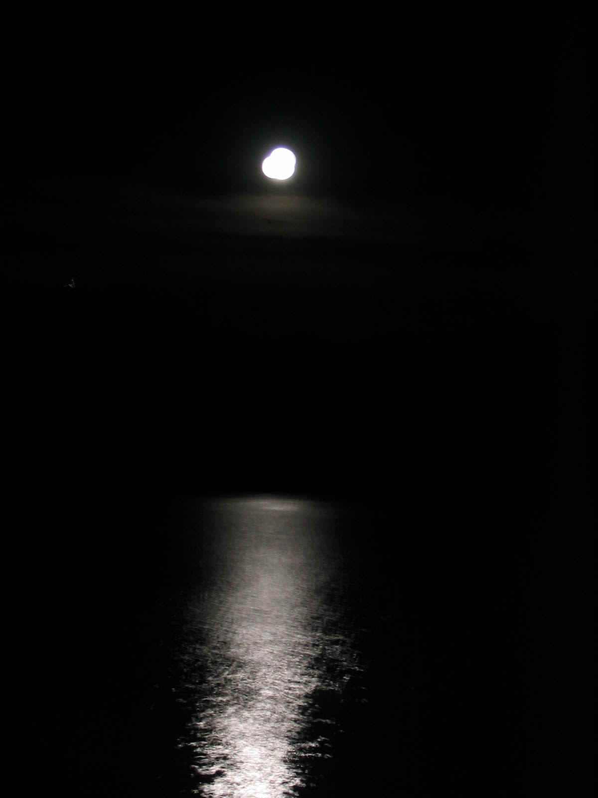 Photos Jan 04 268.jpg (71097 bytes)