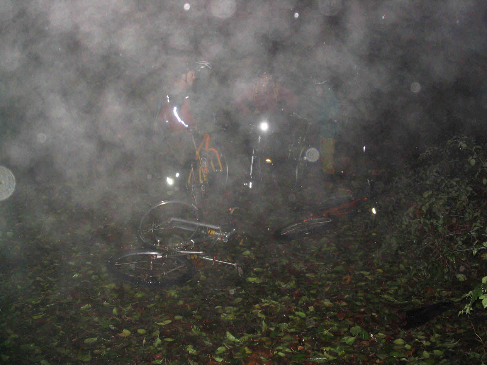 Photos Jan 04 433.jpg (235814 bytes)