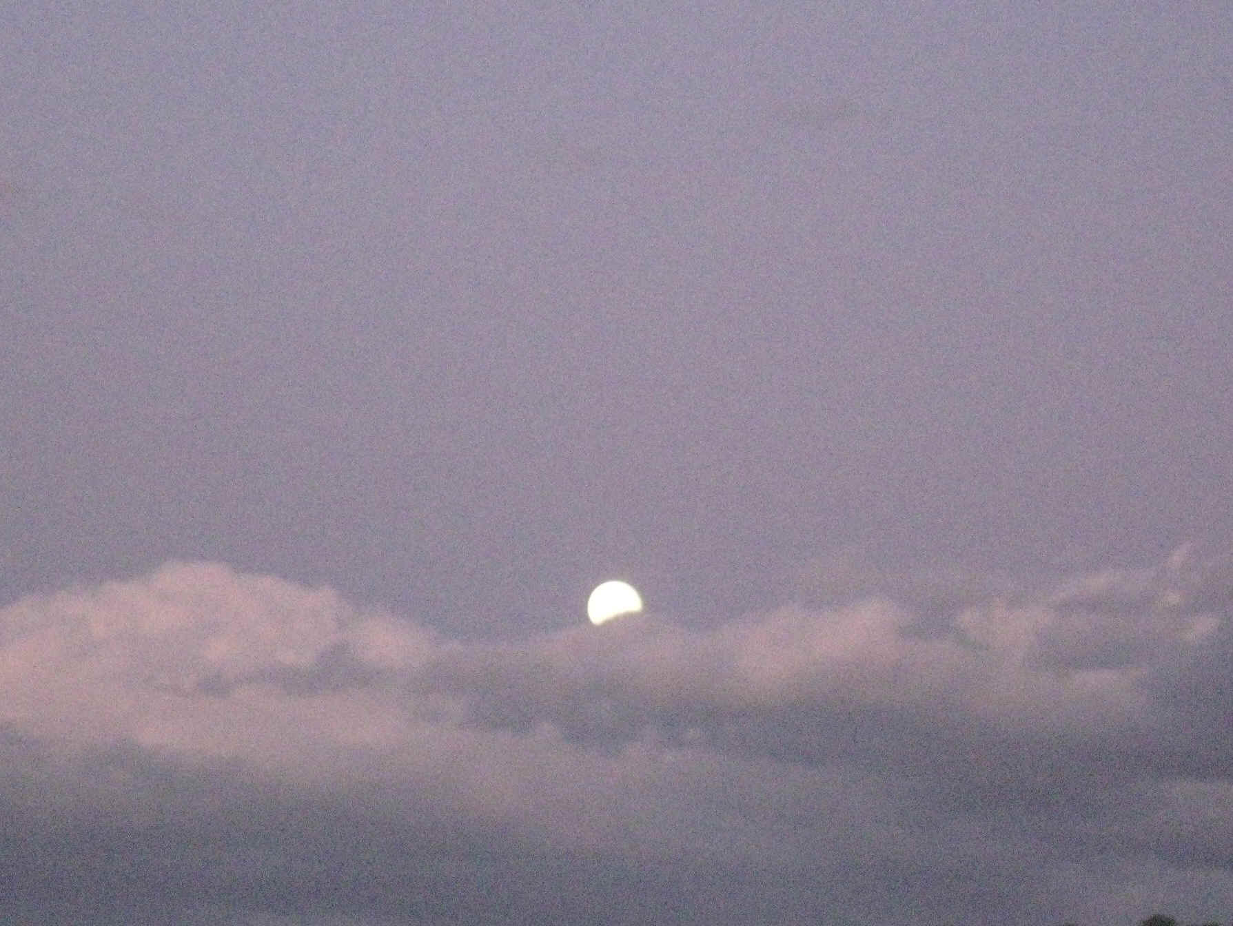 Placebo009.jpg (413078 bytes)