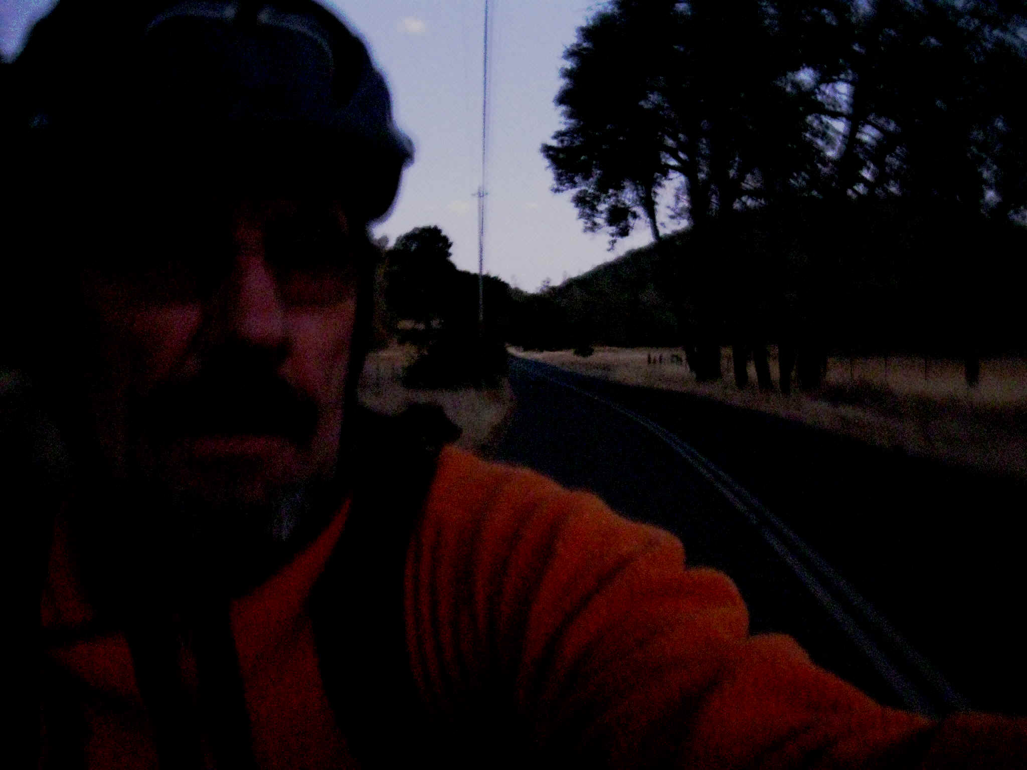 Placebo013.jpg (746211 bytes)