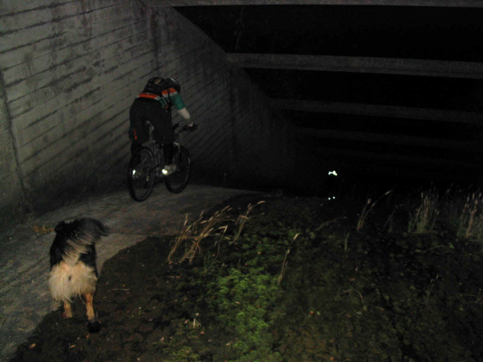 Sept Moon Austin spillway II.JPG (182119 bytes)