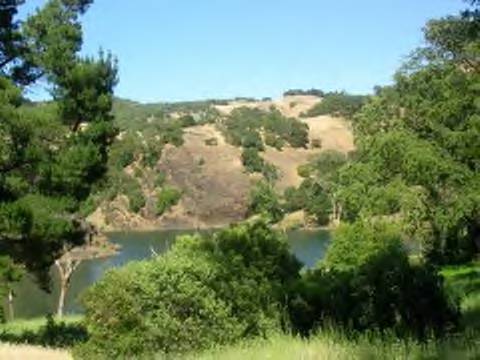 The Lake II.jpg (31370 bytes)