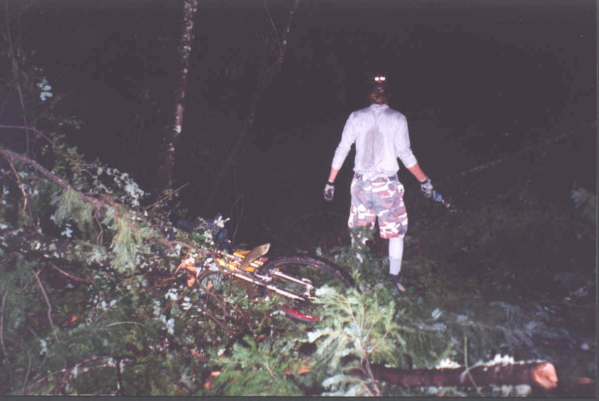 Two Riders - Auriah surveys damage.BMP (2867254 bytes)