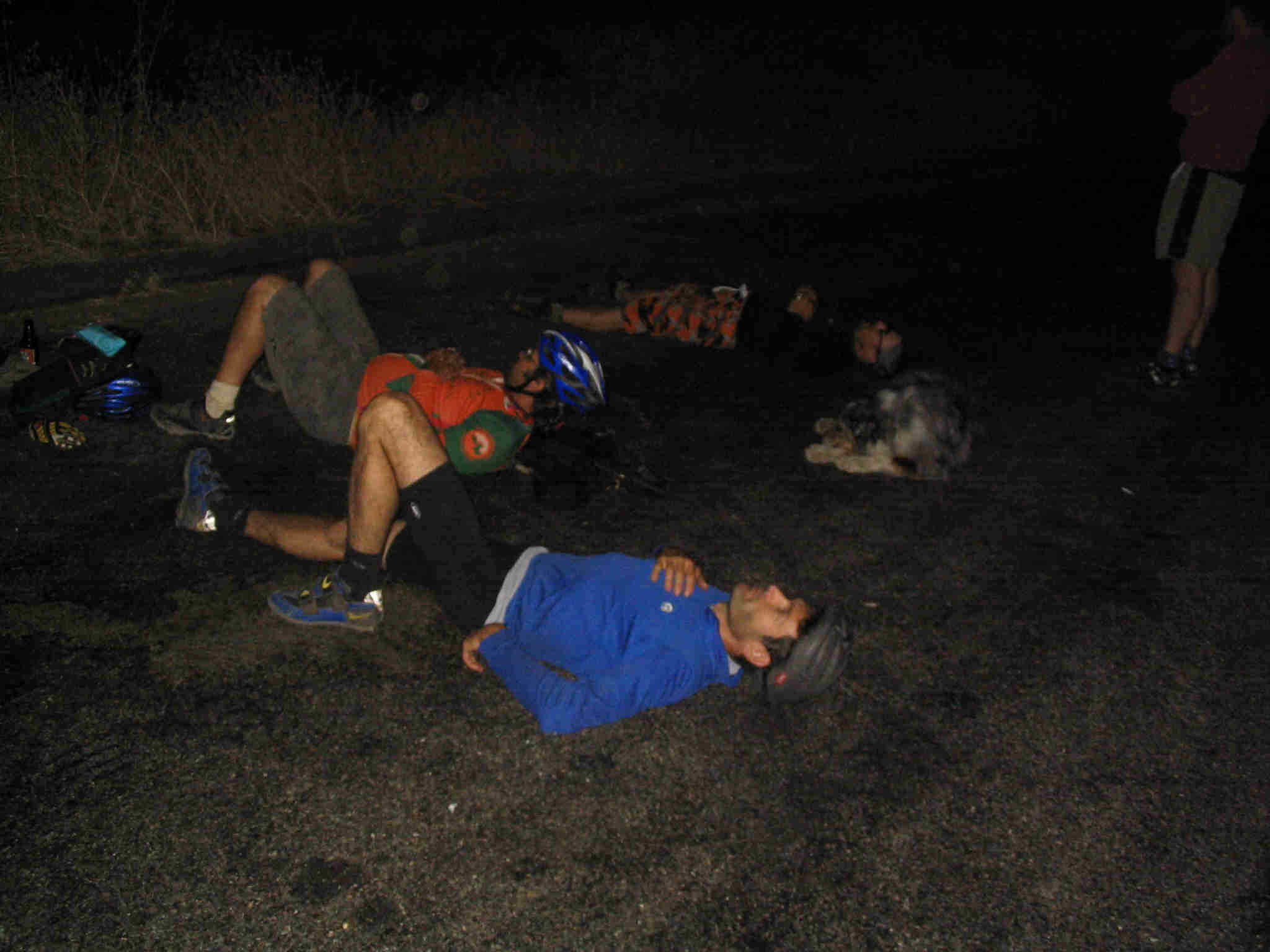 Wasted riders.jpg (132421 bytes)