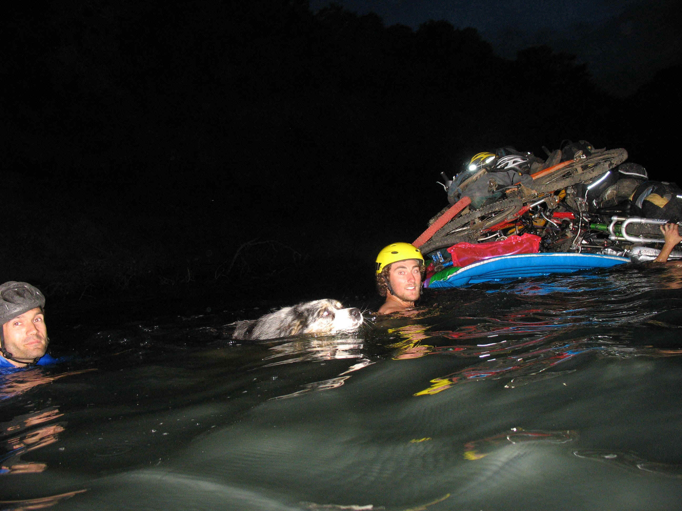 Water dog.jpg (612325 bytes)