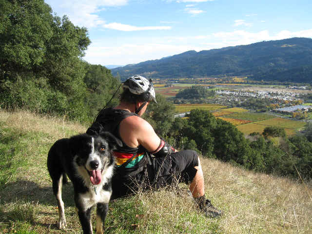 wpe3.jpg (51860 bytes)