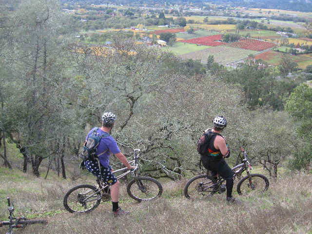 wpe7.jpg (51739 bytes)