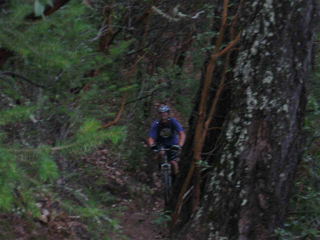 wpe8.jpg (31456 bytes)